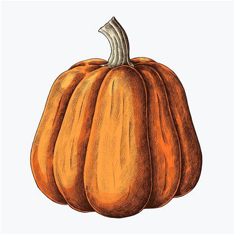 pumpkin vector art|pumpkin aesthetic drawing.